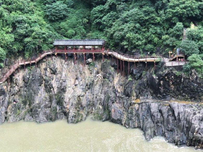 紫色系